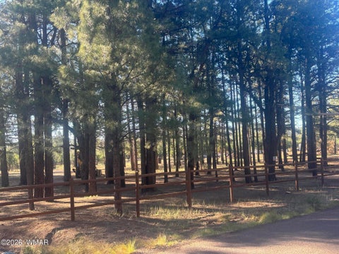 Tiny photo for 859 White Mountain Drive, Show Low, AZ 85901 (MLS # 261886)