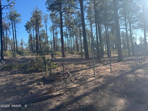 Tiny photo for 859 White Mountain Drive, Show Low, AZ 85901 (MLS # 261886)
