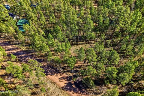 Tiny photo for 20 Co Rd 2067, Alpine, AZ 85920 (MLS # 258988)