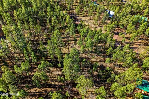 Tiny photo for 20 Co Rd 2067, Alpine, AZ 85920 (MLS # 258988)