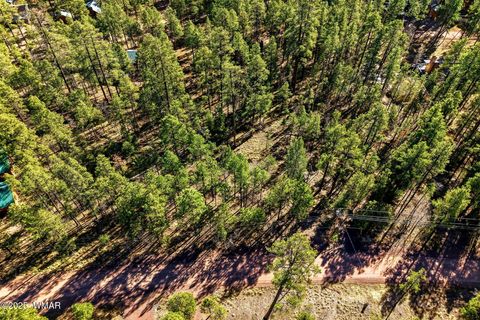 Tiny photo for 20 Co Rd 2067, Alpine, AZ 85920 (MLS # 258988)