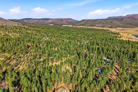 Tiny photo for 20 Co Rd 2067, Alpine, AZ 85920 (MLS # 258988)