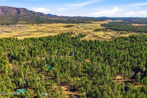 Tiny photo for 20 Co Rd 2067, Alpine, AZ 85920 (MLS # 258988)