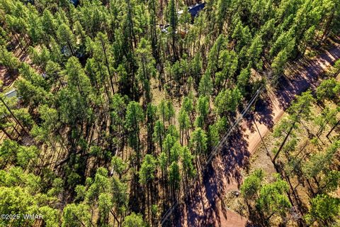 Tiny photo for 20 Co Rd 2067, Alpine, AZ 85920 (MLS # 258988)