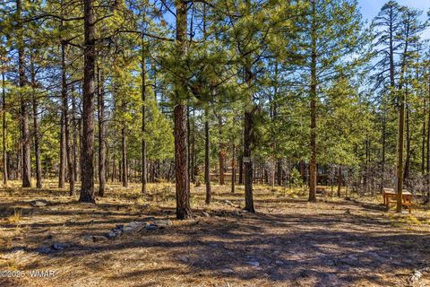 Photo of 20 Co Rd 2067, Alpine, AZ 85920 (MLS # 258988)