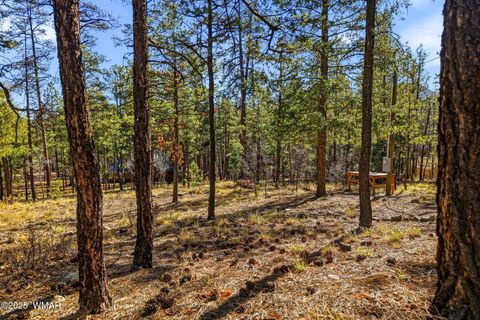 Tiny photo for 20 Co Rd 2067, Alpine, AZ 85920 (MLS # 258988)