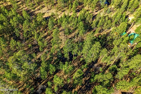 Tiny photo for 20 Co Rd 2067, Alpine, AZ 85920 (MLS # 258988)