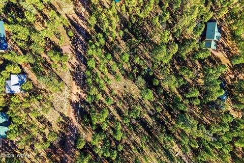 Tiny photo for 20 Co Rd 2067, Alpine, AZ 85920 (MLS # 258988)