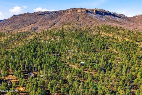 Tiny photo for 20 Co Rd 2067, Alpine, AZ 85920 (MLS # 258988)