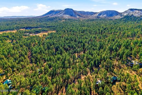 Tiny photo for 20 Co Rd 2067, Alpine, AZ 85920 (MLS # 258988)