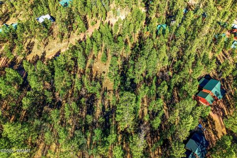 Tiny photo for 20 Co Rd 2067, Alpine, AZ 85920 (MLS # 258988)