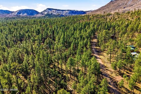 Tiny photo for 20 Co Rd 2067, Alpine, AZ 85920 (MLS # 258988)