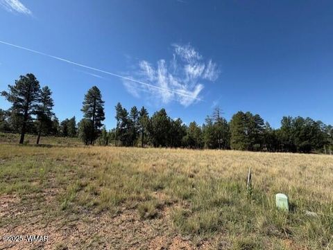 Tiny photo for 2201 W Edgewater, Show Low, AZ 85901 (MLS # 257753)