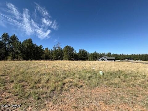 Photo of 2201 W Edgewater, Show Low, AZ 85901 (MLS # 257753)