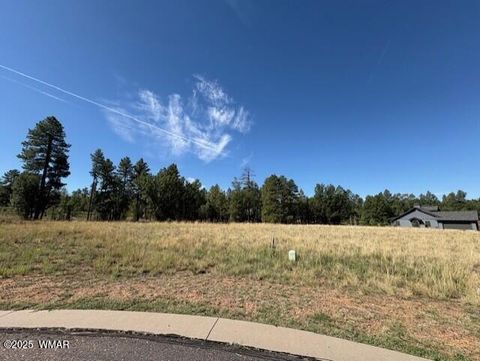 Tiny photo for 2201 W Edgewater, Show Low, AZ 85901 (MLS # 257753)