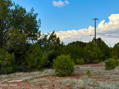 Tiny photo for 1821 Shumway Street, Show Low, AZ 85901 (MLS # 258672)