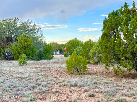 Tiny photo for 1821 Shumway Street, Show Low, AZ 85901 (MLS # 258672)