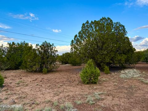 Tiny photo for 1821 Shumway Street, Show Low, AZ 85901 (MLS # 258672)