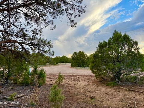 Photo of 1821 Shumway Street, Show Low, AZ 85901 (MLS # 258672)