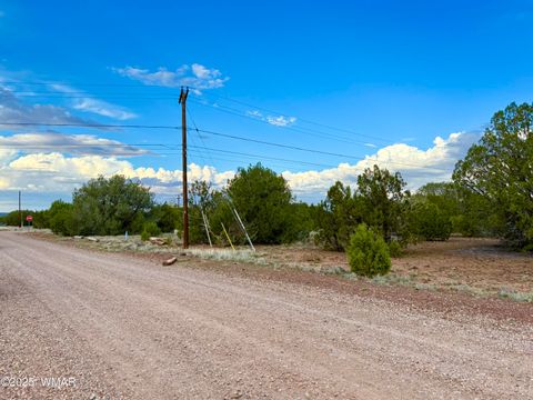 Tiny photo for 1821 Shumway Street, Show Low, AZ 85901 (MLS # 258672)