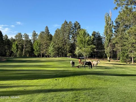 Tiny photo for 7451 Buck Springs Road, Pinetop, AZ 85935 (MLS # 258827)