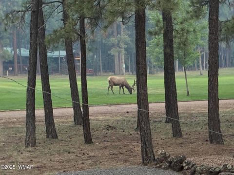 Tiny photo for 7451 Buck Springs Road, Pinetop, AZ 85935 (MLS # 258827)