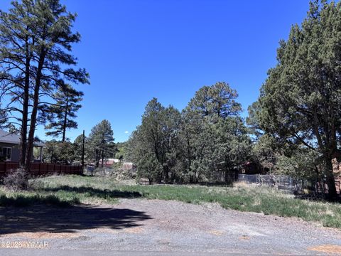 Photo of 260 S 12Th Avenue, Show Low, AZ 85901 (MLS # 260634)