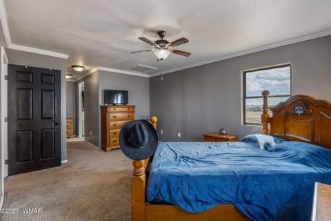 Tiny photo for 529 Foothills Boulevard, Taylor, AZ 85939 (MLS # 260153)