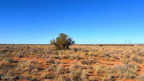 Tiny photo for 5343 Michelle Road, Snowflake, AZ 85937 (MLS # 263424)
