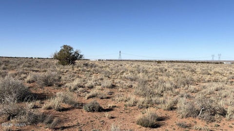Tiny photo for 5343 Michelle Road, Snowflake, AZ 85937 (MLS # 263424)