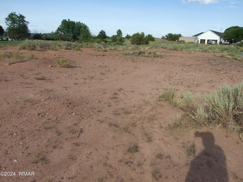 Tiny photo for TBD W Cedar Crest Drive, Snowflake, AZ 85937 (MLS # 253884)