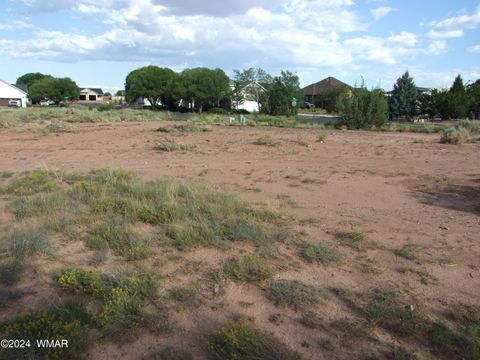 Tiny photo for TBD W Cedar Crest Drive, Snowflake, AZ 85937 (MLS # 253884)