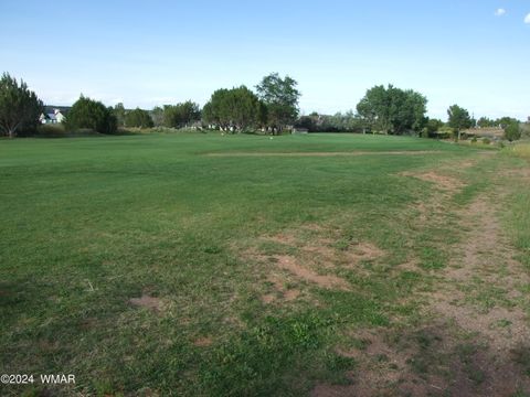 Tiny photo for TBD W Cedar Crest Drive, Snowflake, AZ 85937 (MLS # 253884)