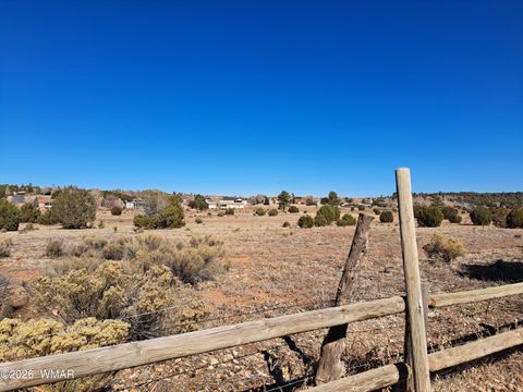Tiny photo for 7022 Kims Way, Show Low, AZ 85901 (MLS # 259468)