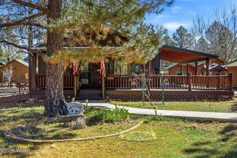 Tiny photo for 2690 Palomino Trail, Overgaard, AZ 85933 (MLS # 260262)