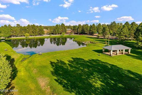 Tiny photo for 2690 Palomino Trail, Overgaard, AZ 85933 (MLS # 260262)