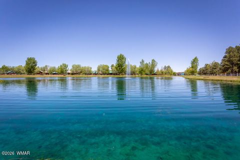 Tiny photo for 2690 Palomino Trail, Overgaard, AZ 85933 (MLS # 260262)