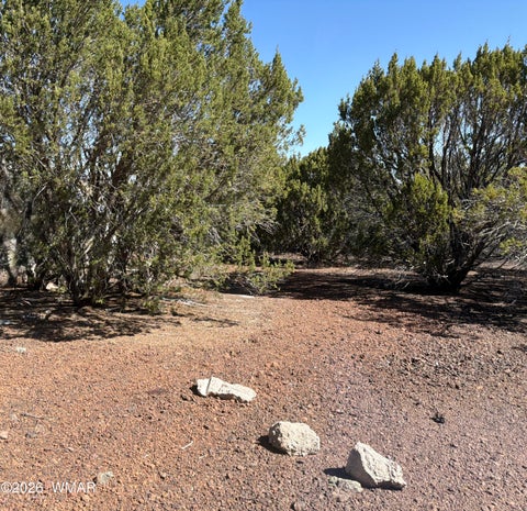 Tiny photo for lot cr 3189, Vernon, AZ 85940 (MLS # 261641)