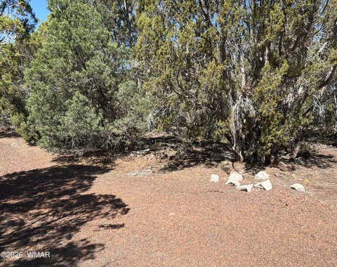 Tiny photo for lot cr 3189, Vernon, AZ 85940 (MLS # 261641)