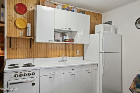 Tiny photo for 25327 Coronado Trail, Alpine, AZ 85920 (MLS # 250045)