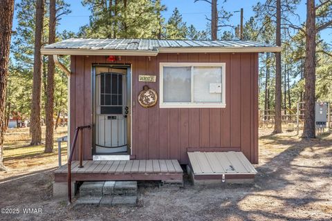 Tiny photo for 25327 Coronado Trail, Alpine, AZ 85920 (MLS # 250045)