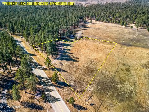 Tiny photo for 25327 Coronado Trail, Alpine, AZ 85920 (MLS # 250045)