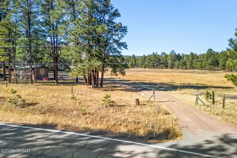 Tiny photo for 25327 Coronado Trail, Alpine, AZ 85920 (MLS # 250045)