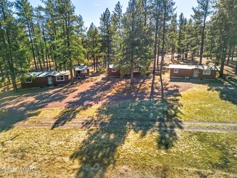 Photo of 25327 Coronado Trail, Alpine, AZ 85920 (MLS # 250045) Photo of 25327 Coronado Trail, Alpine, AZ 85920 (MLS # 250045)