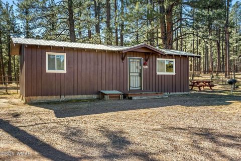 Tiny photo for 25327 Coronado Trail, Alpine, AZ 85920 (MLS # 250045)