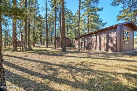 Tiny photo for 25327 Coronado Trail, Alpine, AZ 85920 (MLS # 250045)