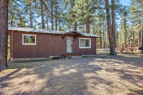 Tiny photo for 25327 Coronado Trail, Alpine, AZ 85920 (MLS # 250045)