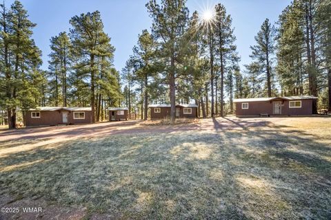 Tiny photo for 25327 Coronado Trail, Alpine, AZ 85920 (MLS # 250045)