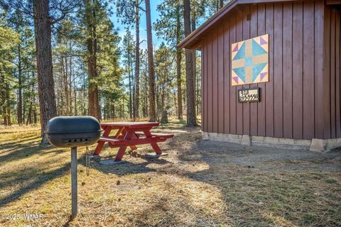 Tiny photo for 25327 Coronado Trail, Alpine, AZ 85920 (MLS # 250045)