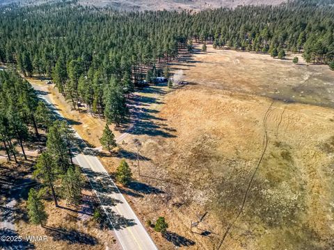 Tiny photo for 25327 Coronado Trail, Alpine, AZ 85920 (MLS # 250045)